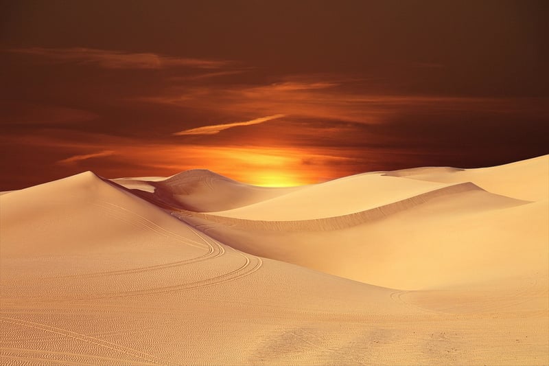 Dune Bashing